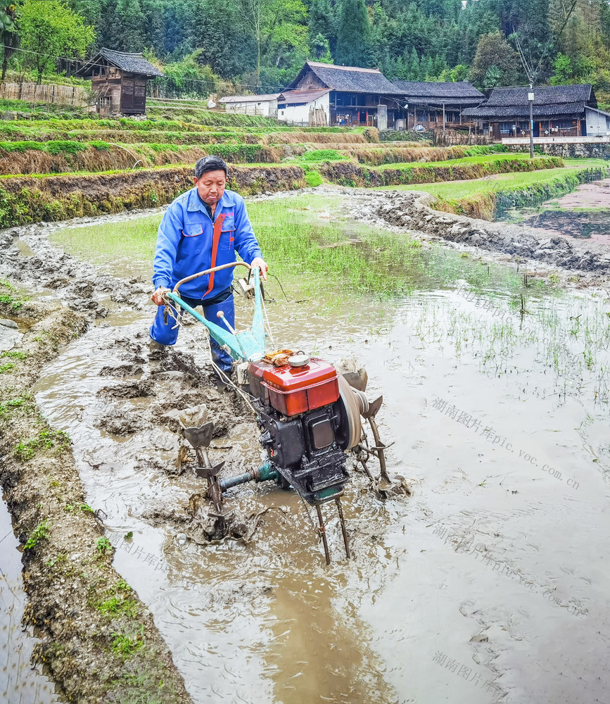 备耕 农时 水田，耕田机 
