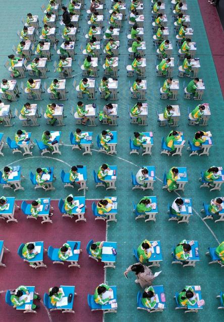 土家族 学生 苗族 小学 字典 识字 比赛 认字 兴趣 双减 查字典 技能  习惯