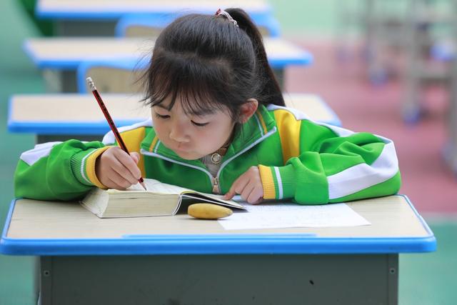 土家族 学生 苗族 小学 字典 识字 比赛 认字 兴趣 双减 查字典 技能  习惯