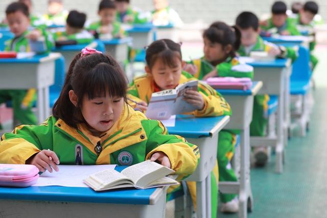 土家族 学生 苗族 小学 字典 识字 比赛 认字 兴趣 双减 查字典 技能  习惯
