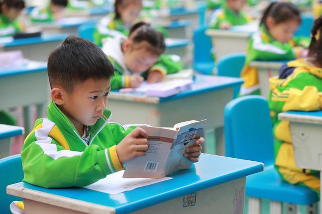 土家族 学生 苗族 小学 字典 识字 比赛 认字 兴趣 双减 查字典 技能  习惯
