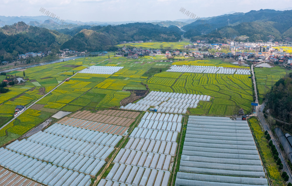 农业 农村 乡村 山村 农作物 三农 美丽乡村 乡村振兴 大棚农业 田园风光 田野 背景 山川 村落 生态农业