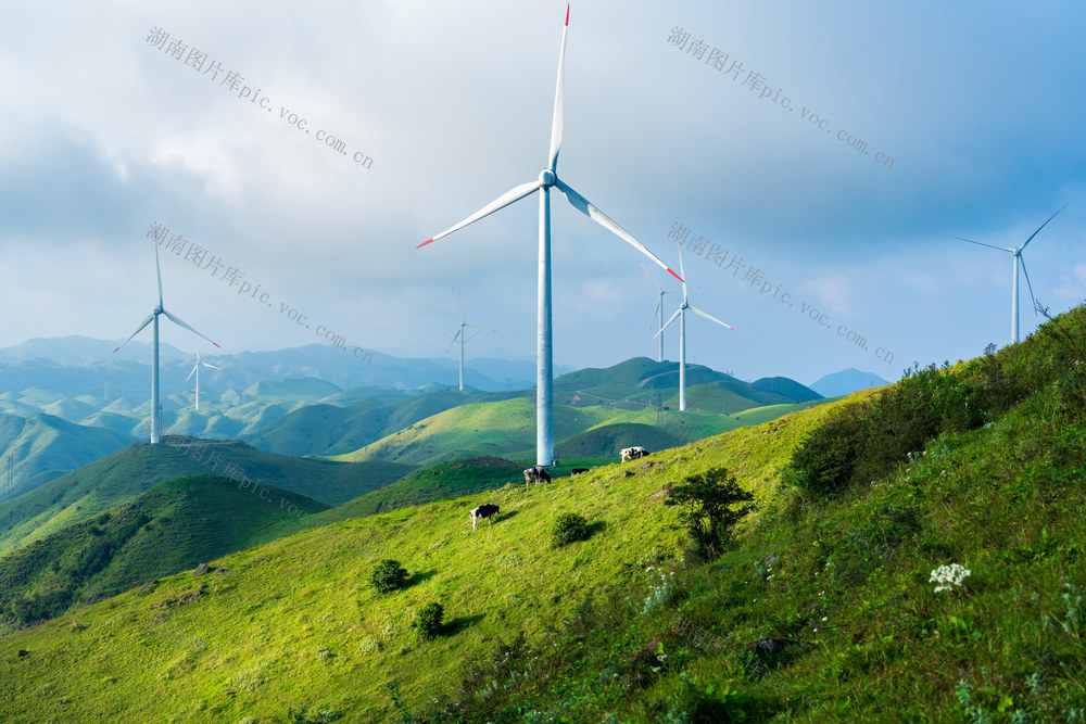 风光,风景,背景,壁纸,草原,草原风光,南山牧场,南山草原,奶牛,牛群,天空,草场,风力发电场,风电场,夏天,青山,自然,高山,环境,环境保护,自然美,地形,能源,风轮机,风力,风车,风电,风力涡轮机