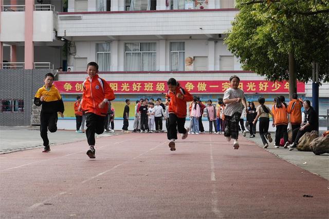 春天  校园   美丽  活力