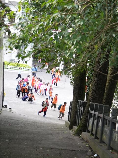 春天  校园   美丽  活力