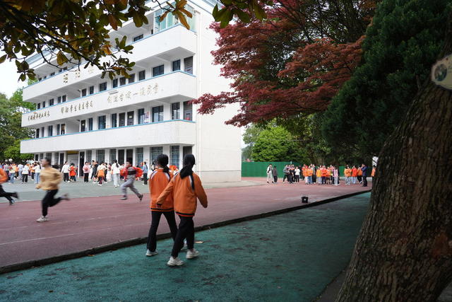 春天  校园   美丽  活力