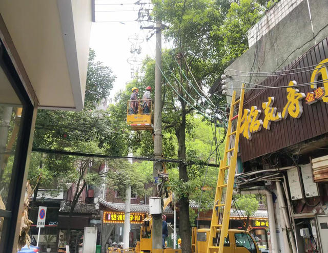凤凰 电力部门  南华路  高压线下  砍青 当 树木枝条   化解  电力设施 树线矛盾 消除安全隐患  防患于未然 