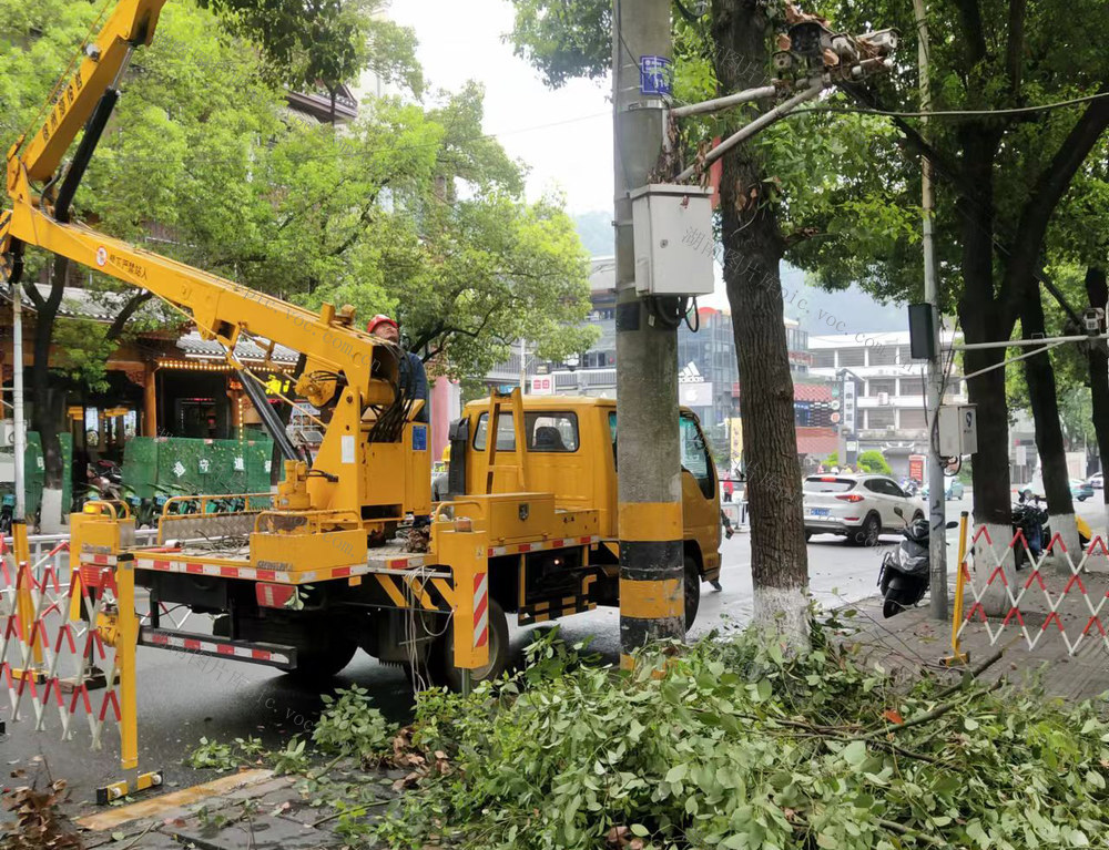 凤凰 电力部门  南华路  高压线下  砍青 当 树木枝条   化解  电力设施 树线矛盾 消除安全隐患  防患于未然 