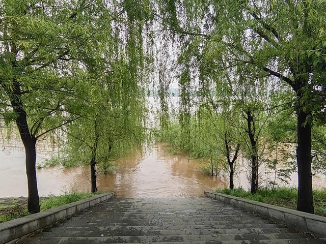 湘江 上涨  水位  安全
