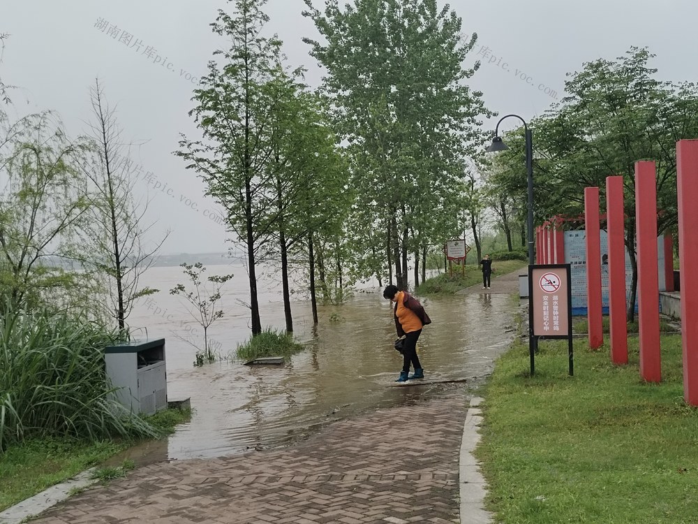 湘江 上涨  水位  安全