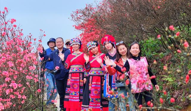 湖南  常宁  天堂山  杜鹃