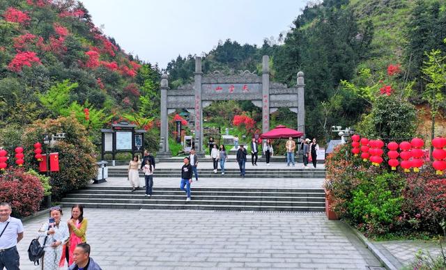 湖南  常宁  天堂山  杜鹃