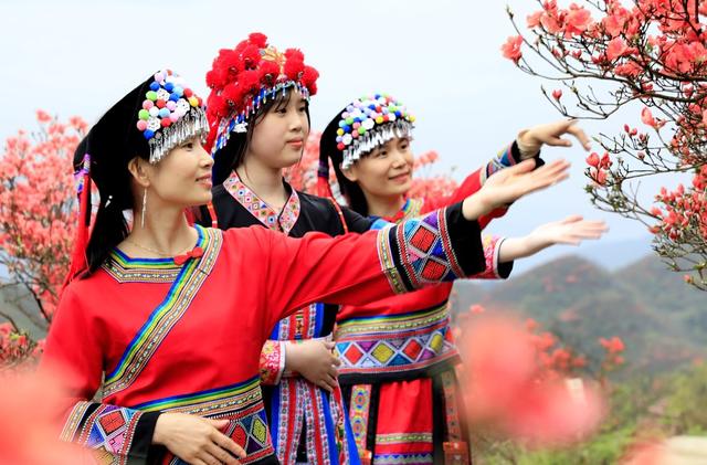湖南  常宁  天堂山  杜鹃