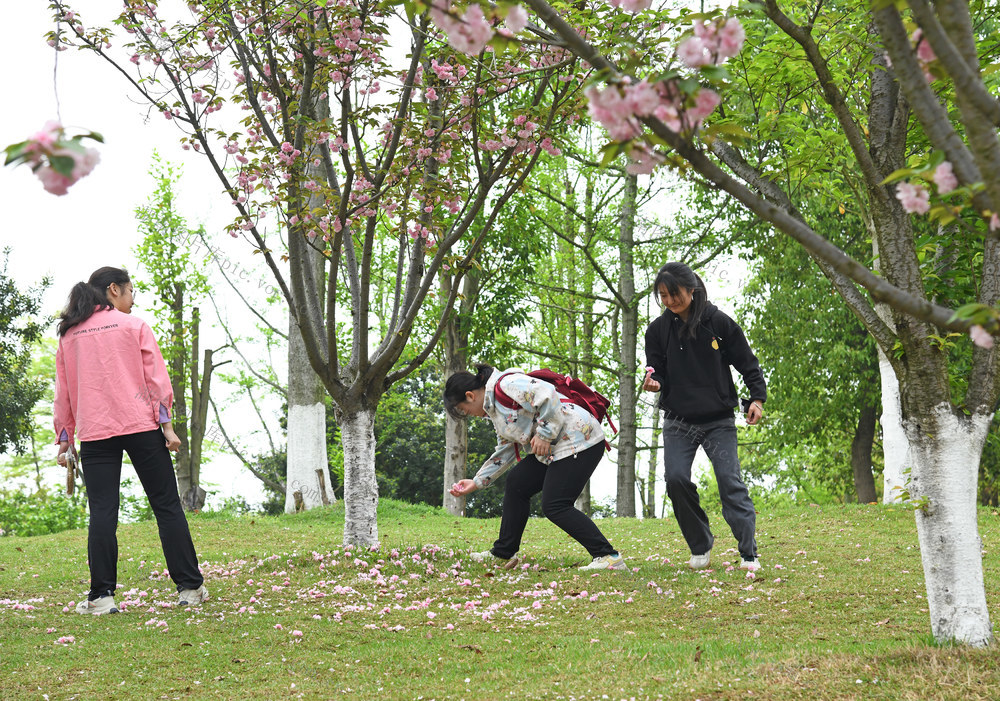 大学生