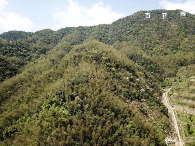青山口奇水口风光