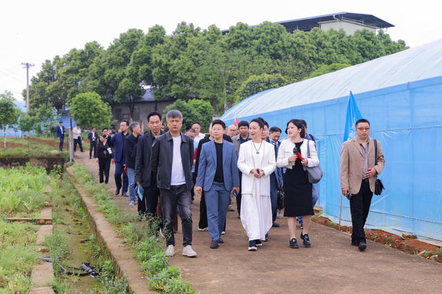 农民作家 作协 采风 乡村振兴 乡风文明 