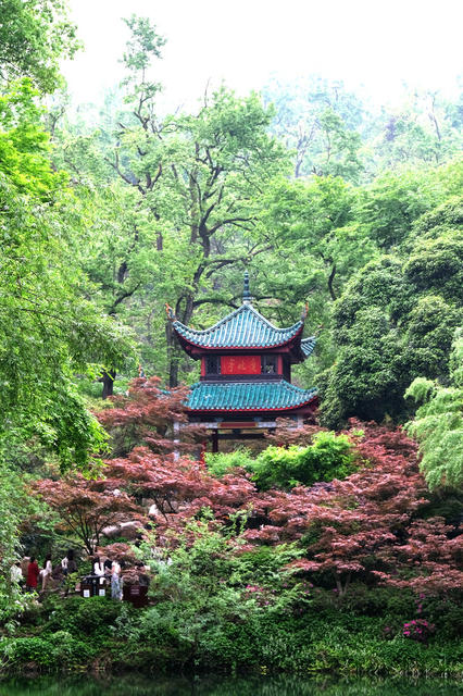 爱晚亭，春意盎然