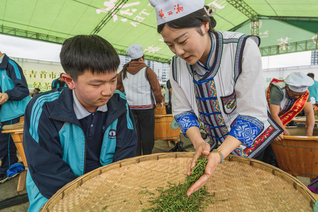 “百名学生湘西黄金茶加工工艺非遗传承培训”  抓制茶传承、强绿茶产业