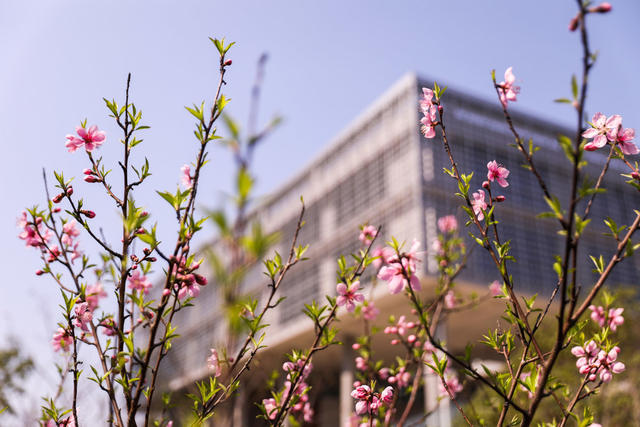 长沙理工大学