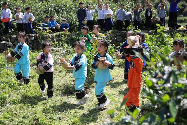 萌娃 湘西 采茶 农事 小朋友 茶文化 幼儿园 研学 品茶  吉首市 茶歌  红坪村