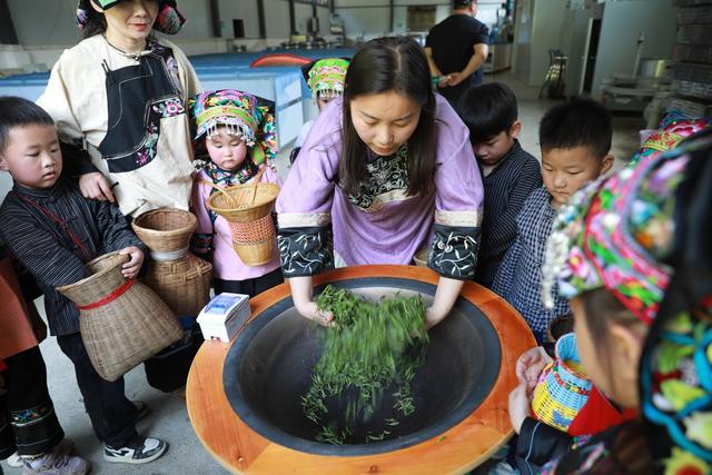 萌娃 湘西 采茶 农事 小朋友 茶文化 幼儿园 研学 品茶  吉首市 茶歌  红坪村