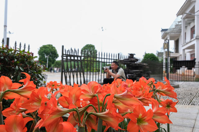 学摄影，新闻影像，研修班