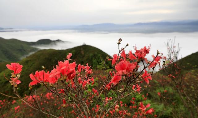 湖南  郴州  桂阳  泗洲山  美景