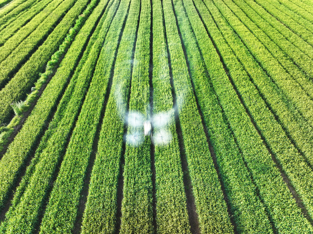 农业  粮食生产  小麦种植  灌浆成熟  病虫害防治  无人机  智能化  精细化
