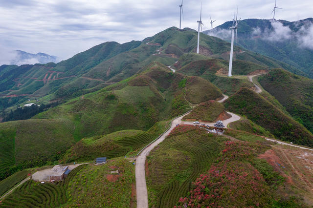 湖南   通道   湘桂黔    三省坡    美景