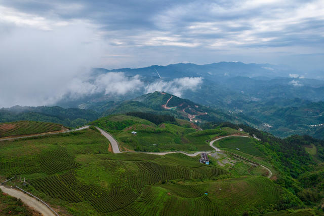 湖南   通道   湘桂黔    三省坡    美景