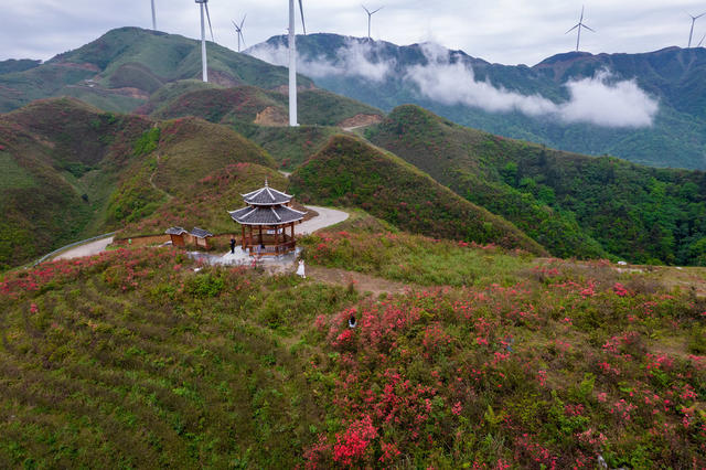 湖南   通道   湘桂黔    三省坡    美景