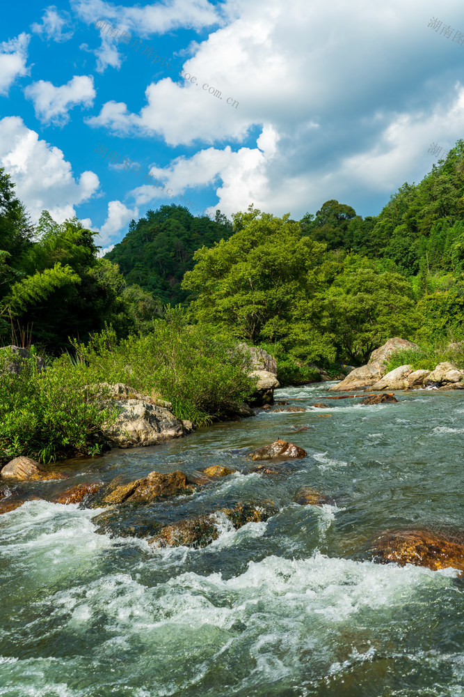 森林,河流,自然,自然风光,风景,风光,背景,蓝天,白云,天空,自然环境,生态,环保,环境,青山,绿水,旅行,旅游,夏天,夏季,绿色,地形,小溪,水,岩石,自然美,户外,树,高山