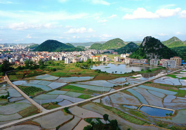 嘉禾：立夏时节田园美