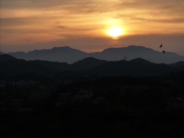白鹭 生态 自然 青山绿水 衡山