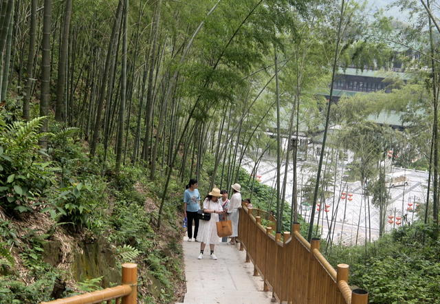 游玩囗竹海囗景区