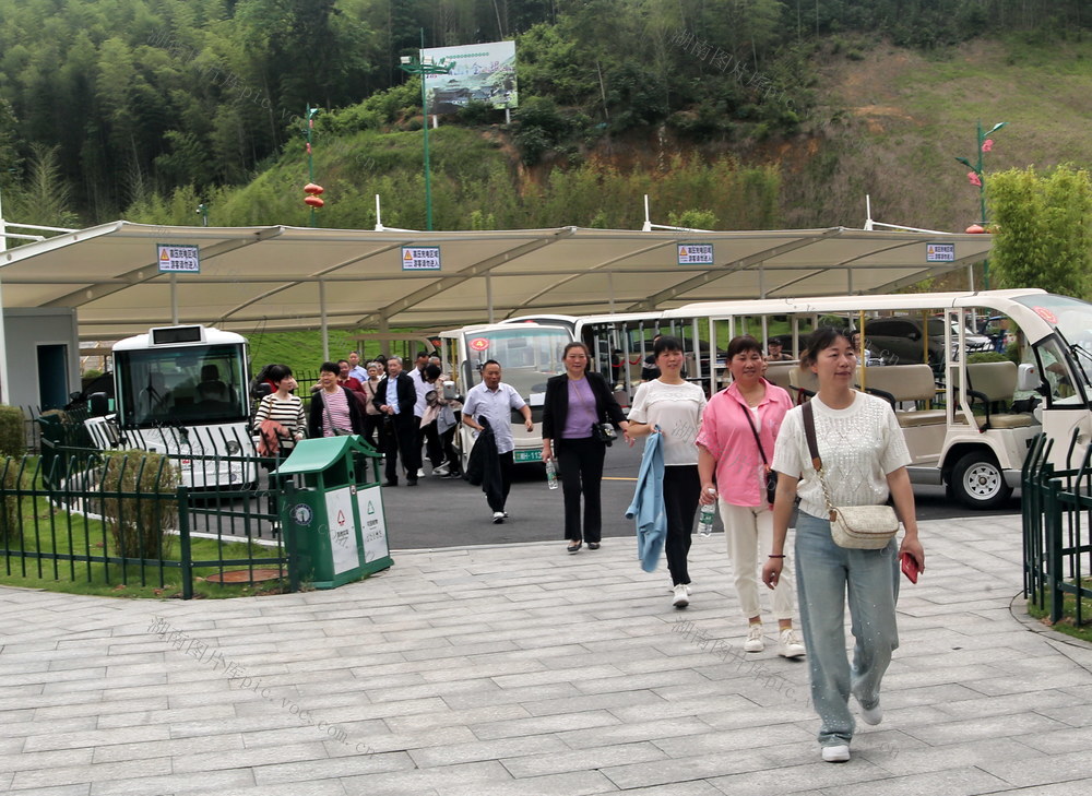 游玩囗竹海囗景区