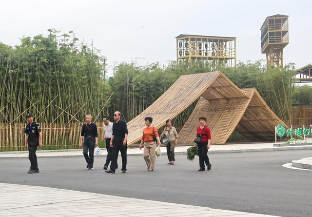 游玩囗竹海囗景区