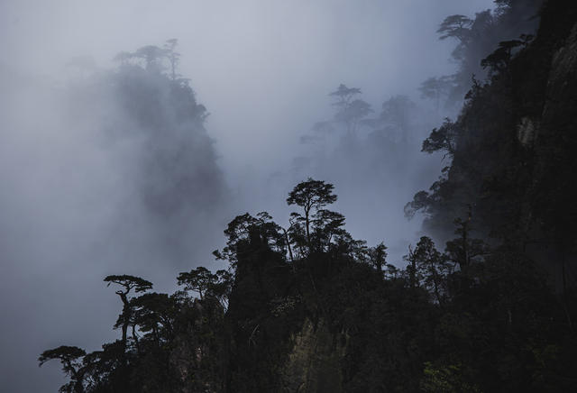  湖南  郴州   宜章  莽山 
 五指峰景区   黄建华