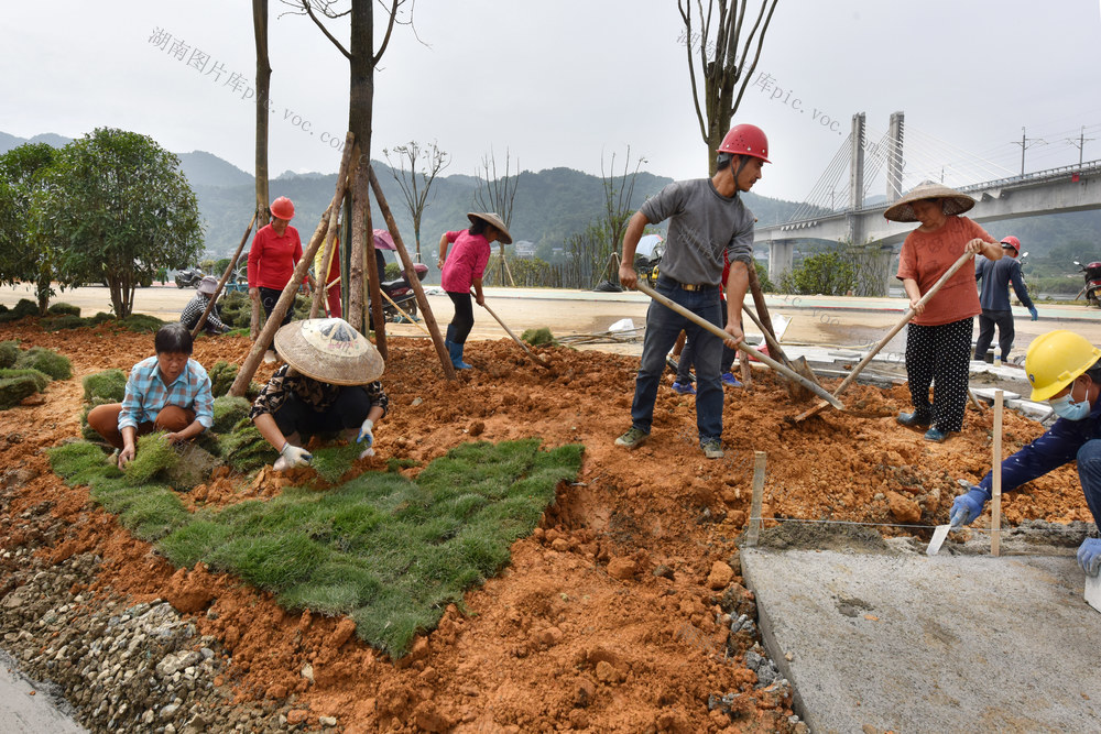  Road greening construction is busy