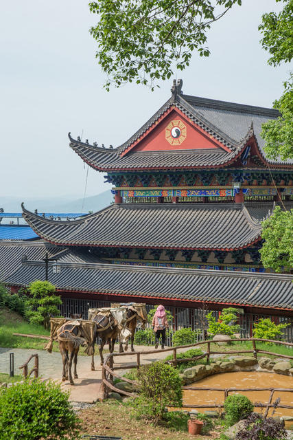 游道  女人  骡马  运输  山道  树