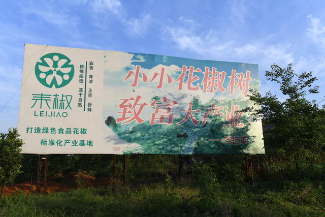 花椒 种植 扩面    助力 乡村 振兴