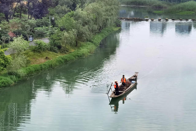 相思湖畔清漂忙