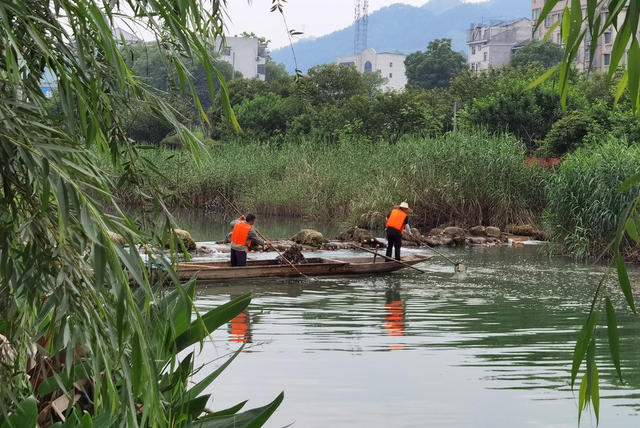 相思湖畔清漂忙