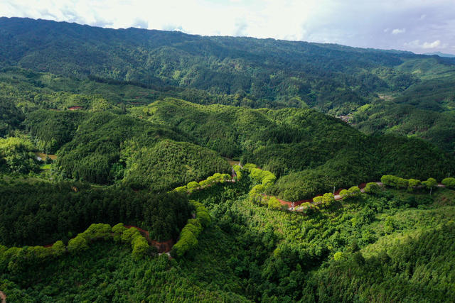 排牙山 旅游 公路 夏季 大自然 