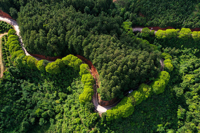 排牙山 旅游 公路 夏季 大自然 