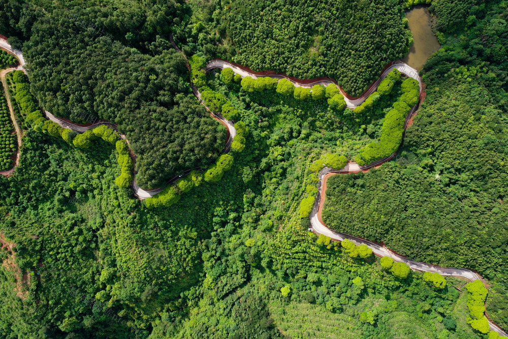 排牙山 旅游 公路 夏季 大自然 