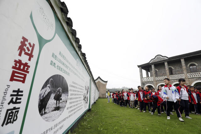 国际生物多样性日 鸟类科普馆  研学参观 爱鸟护鸟 生态环保