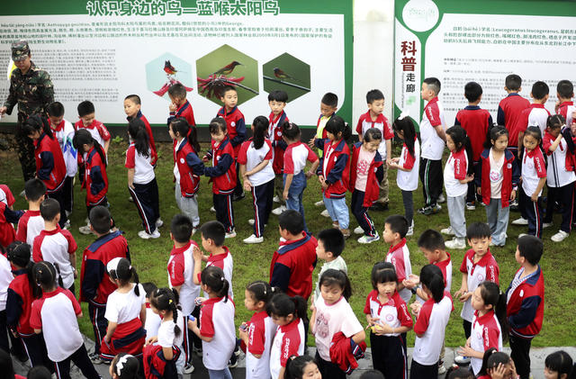 国际生物多样性日 鸟类科普馆  研学参观 爱鸟护鸟 生态环保