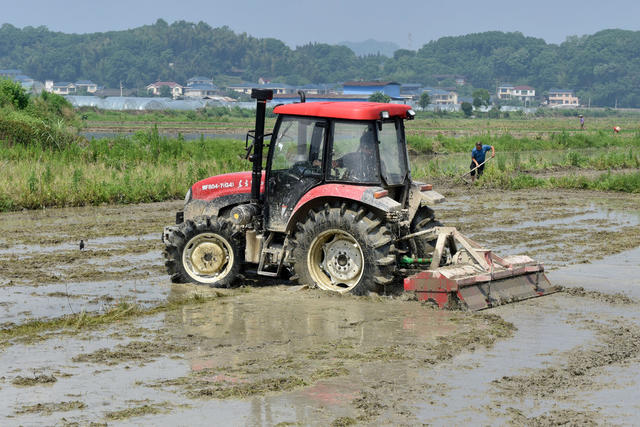 夏日里 劳作忙