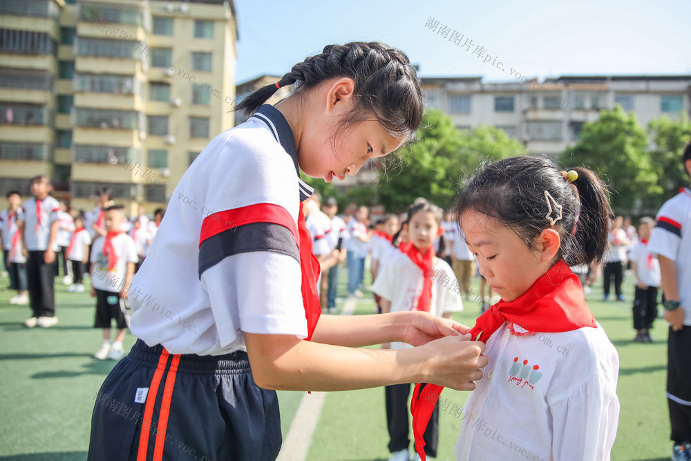 少先队员 少年 小学生 红领巾 入队 校园